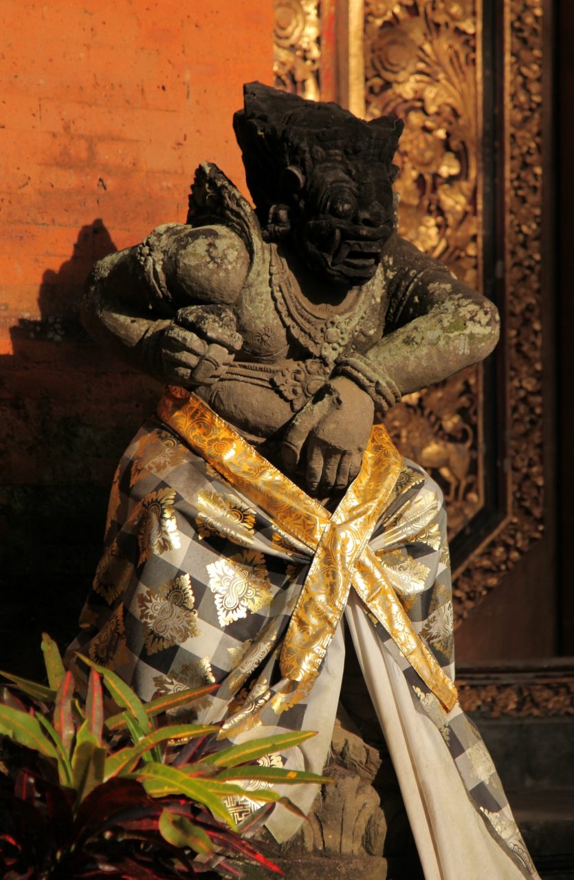Bali-9