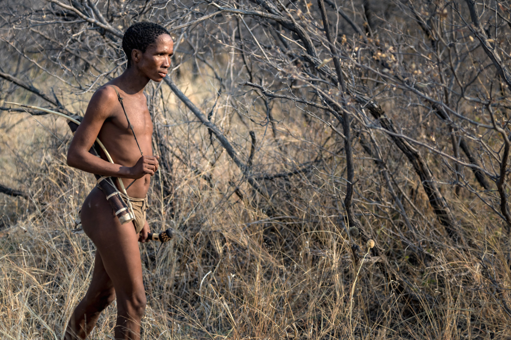 Bushmen-01