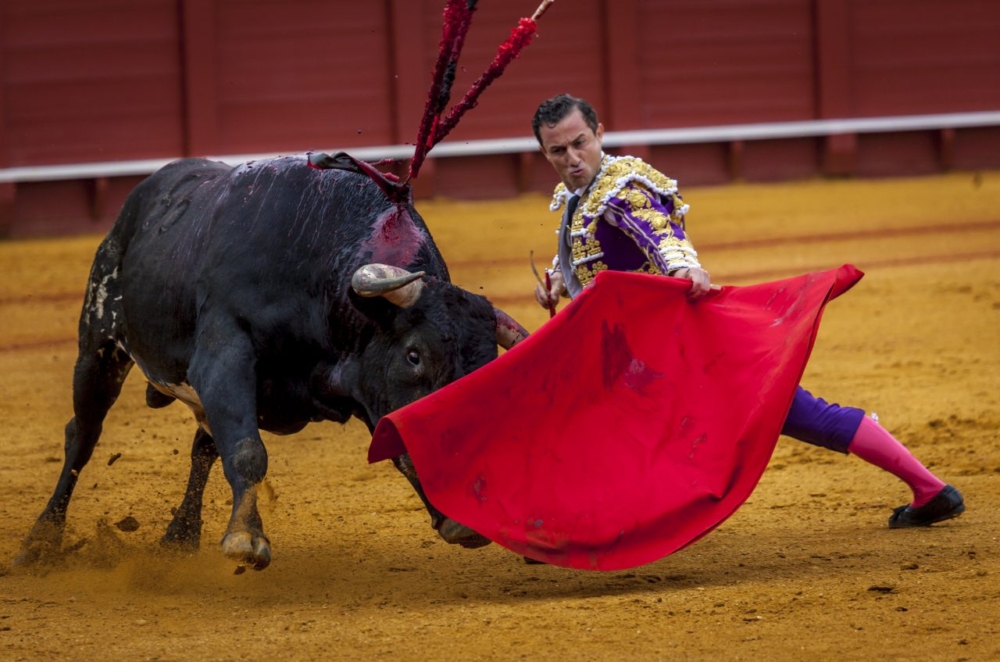 Corrida Sevilla-20