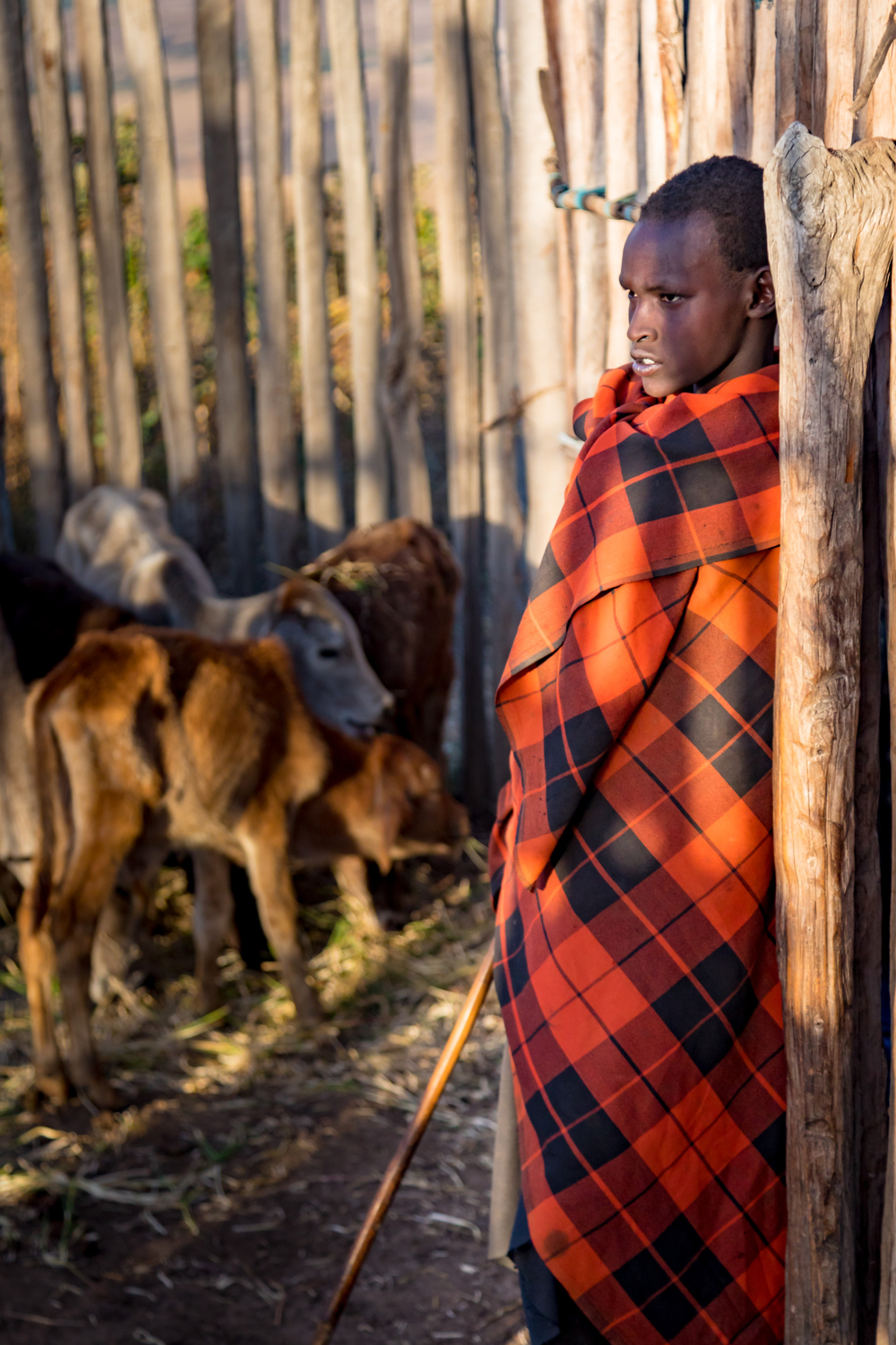 Maasai vilagers (6)