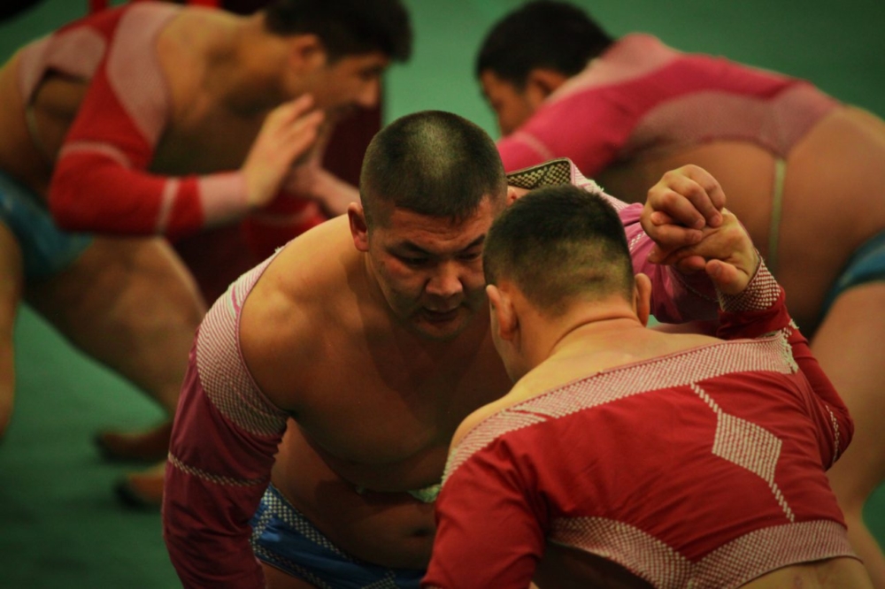 Mongolian wrestling-1